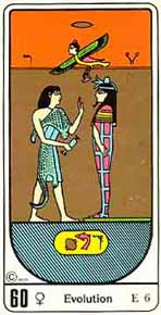60 - Evolution
